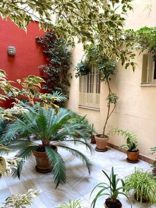 Acogedor Y Tranquilo Cerca De Las Setas - Centro Seville Luaran gambar